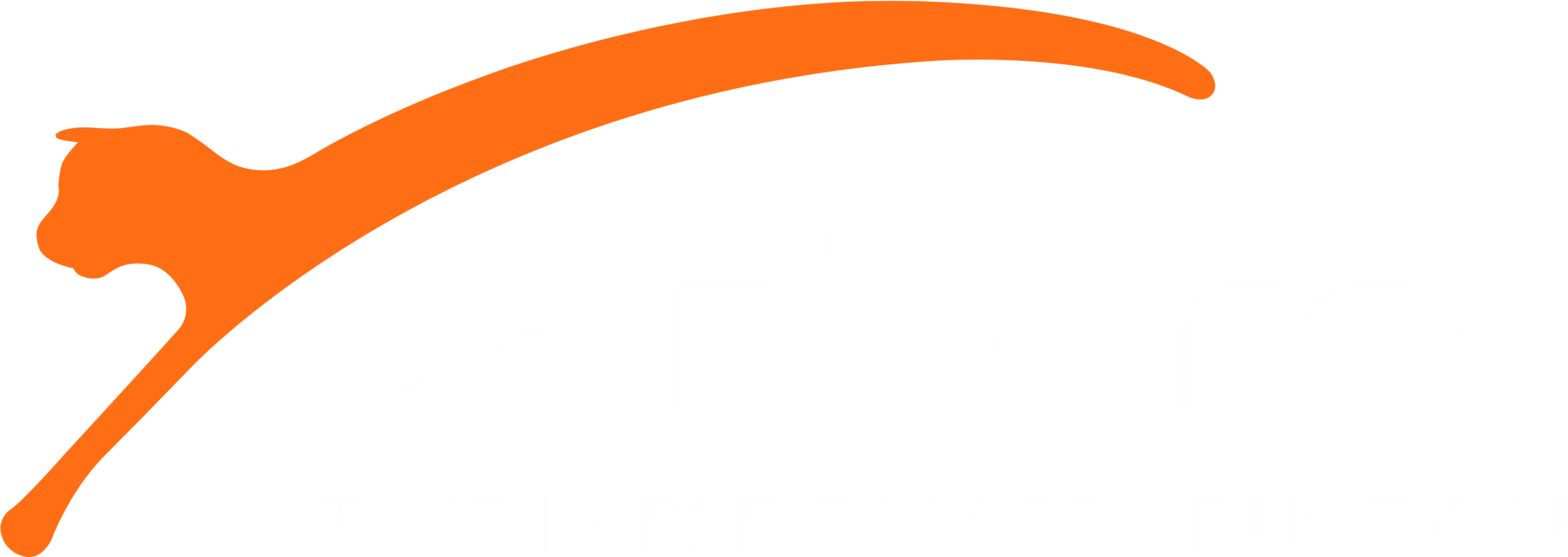 panTerra Logo, transparent